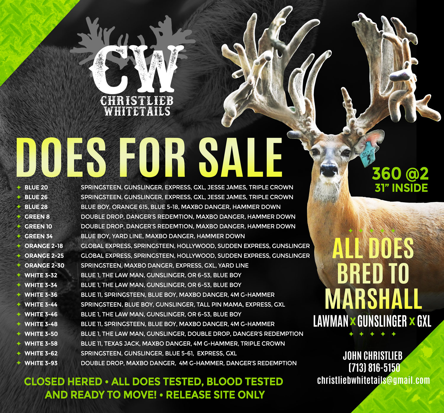 CW Does for Sale