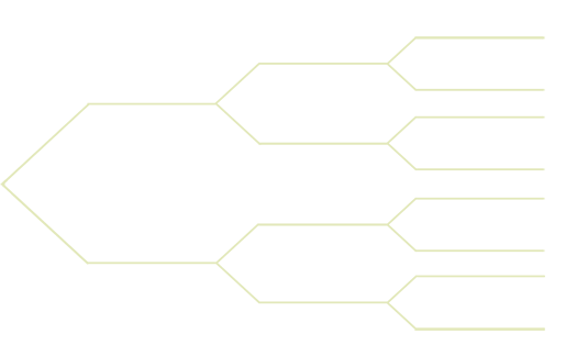 SPRINGSTEEN PEDIGREE