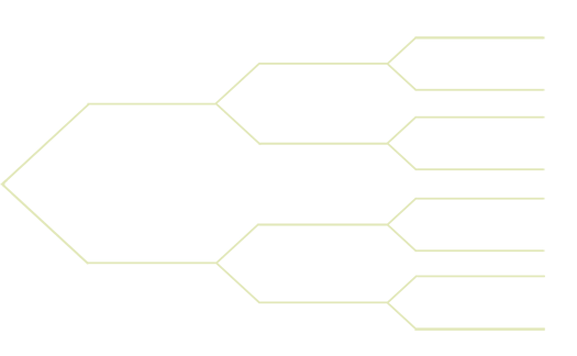 YELLOW 4-21 PEDIGREE